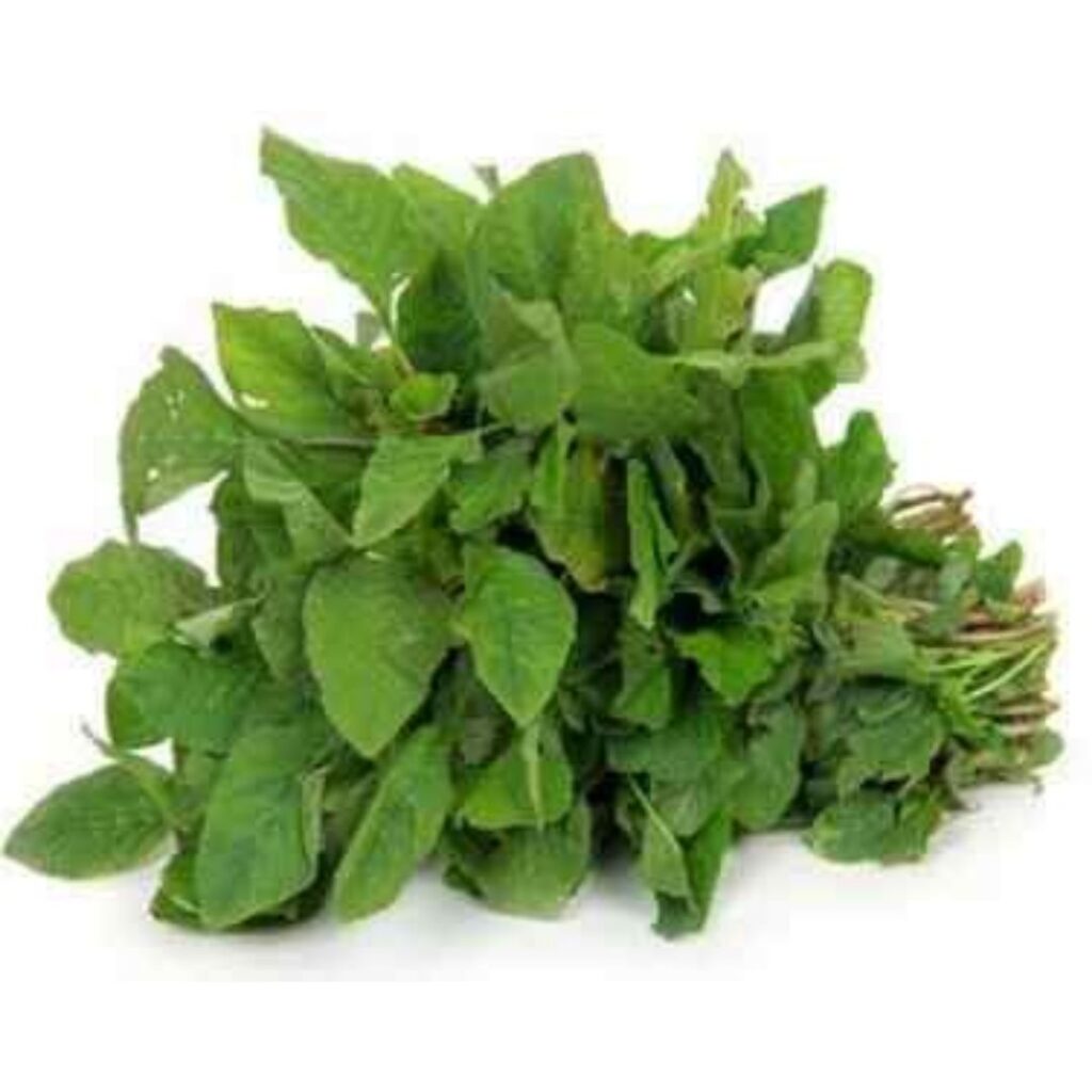 Chillatai Arai Keerai Amaranthus Sag 1000 Seeds Chillatai chillatai-arai-keerai-amaranthus-sag-1000-seeds-chillatai