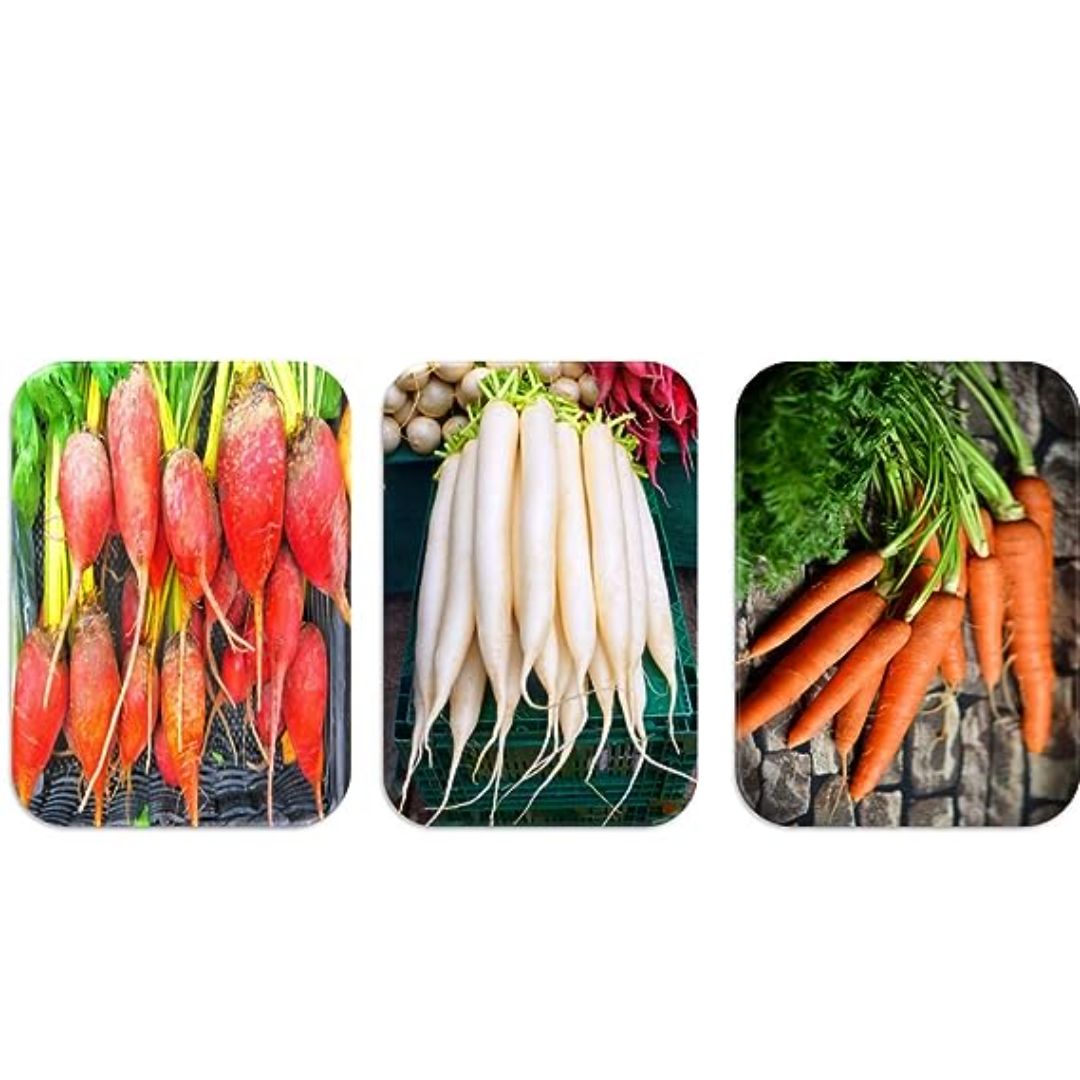 Chillatai Combo Root Vegetable Seeds (Carrot, Radish, Beetroot)
