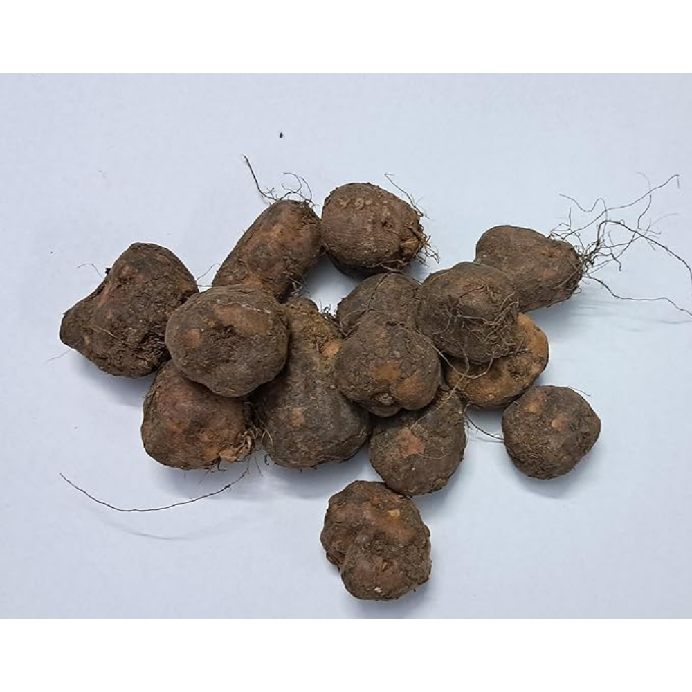 Chillatai®Rare Koorka/Kooka/Chinese Potatoes Pack of 500 gram